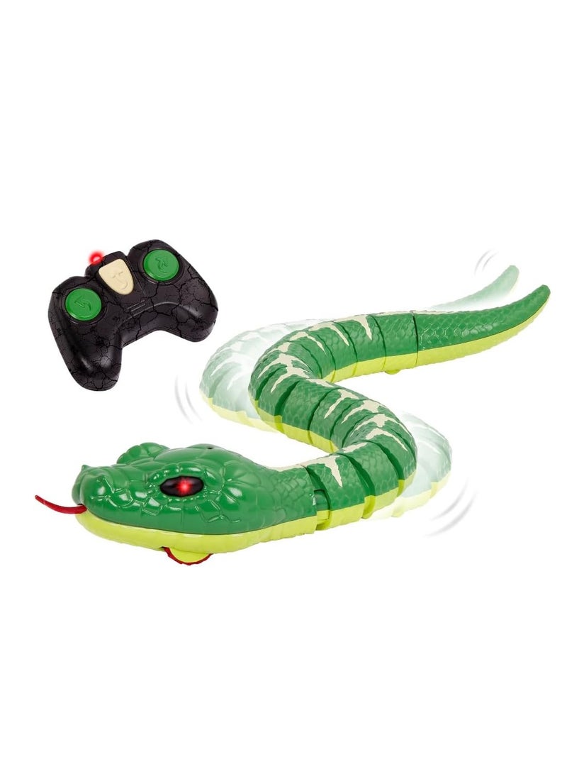 Terra RC Rolling Giant Pillbug