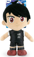Captain Tsubasa - 30 cm Peluches de los Personajes Principales, Tsubasa Ohzora, Genzo Wakabayashi, Kojiro Hyuga, Ryo Ishizaki Edición Coleccionista - Calidad Super Suave (30 cm, Kojiro Hyuga)