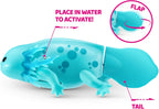 Pets Alive Robo Axolotl Swimming, Electronic Pet Toy (2 Pack) by ZURU