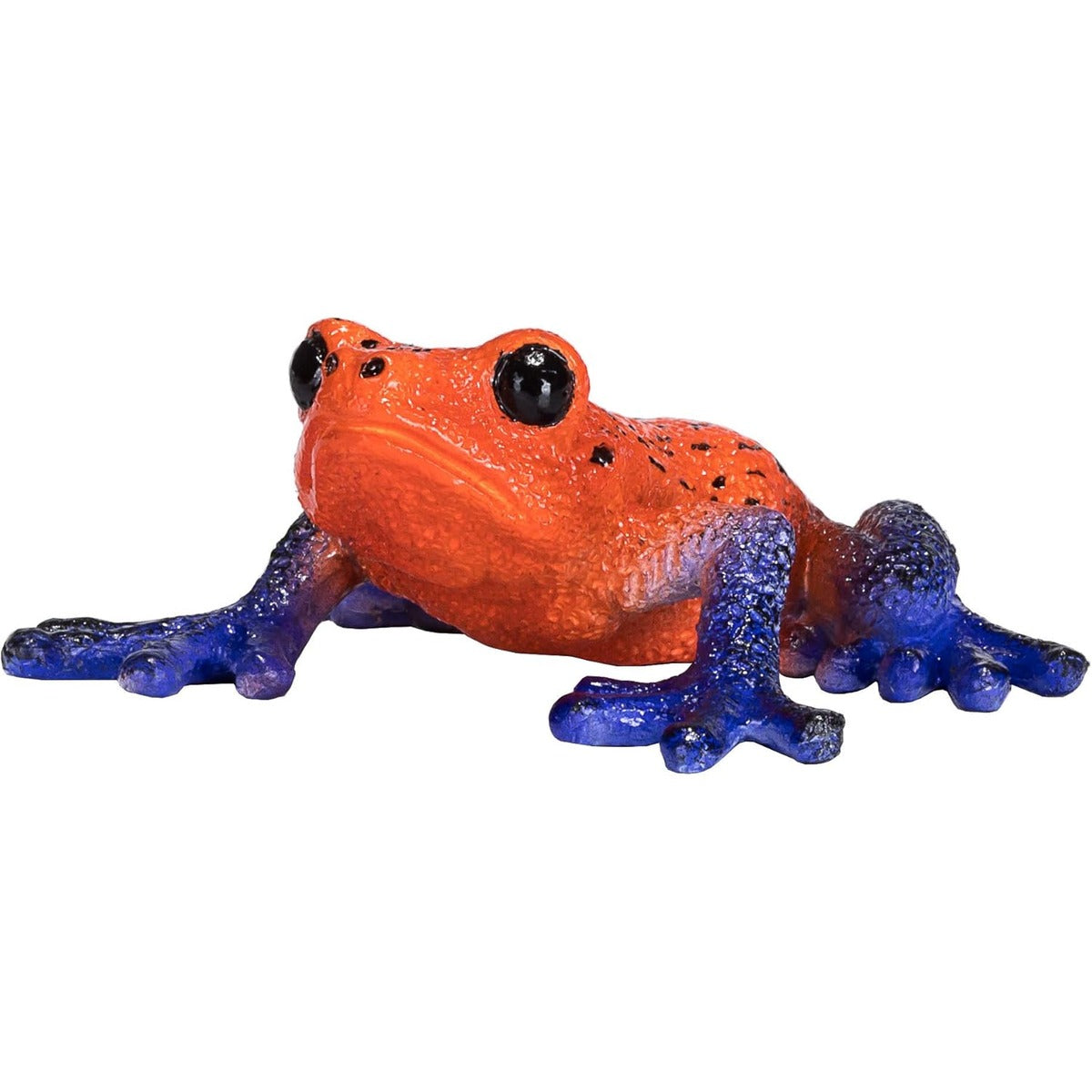 MOJO Poison Dart Tree Frog Realistic International Wildlife Hand