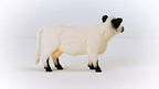 Schleich Galloway Cow Realistic Farm Animal Figurine