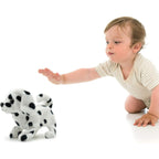 Pugs at Play Spotty The Dalmatian Functional Dog, PAP02