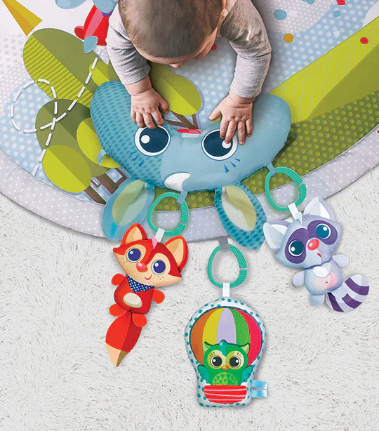 Winfun Babyspace Activity Gym