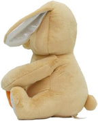 MiniMelody Peekaboo Nibbles the Bunny Interactive Plush Toy with Music & Talking