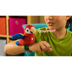 Red Parrot