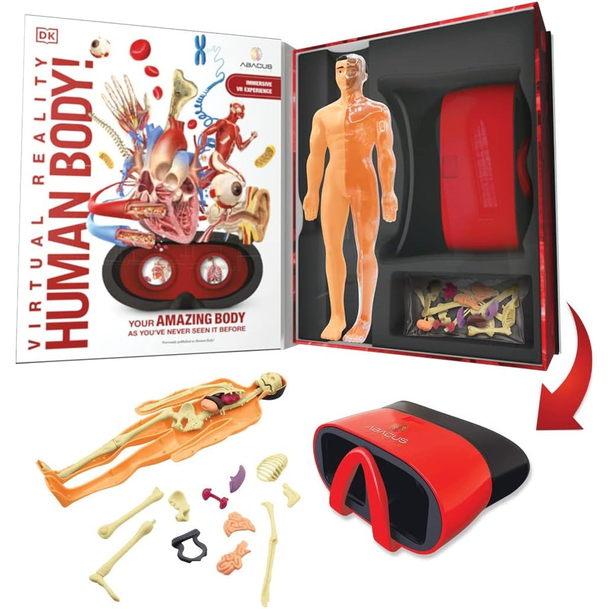 Abacus Brands Virtual Reality Human Body Gift Box- Illustrated Interactive VR Book and STEM Learning Activity Set - for Ages 