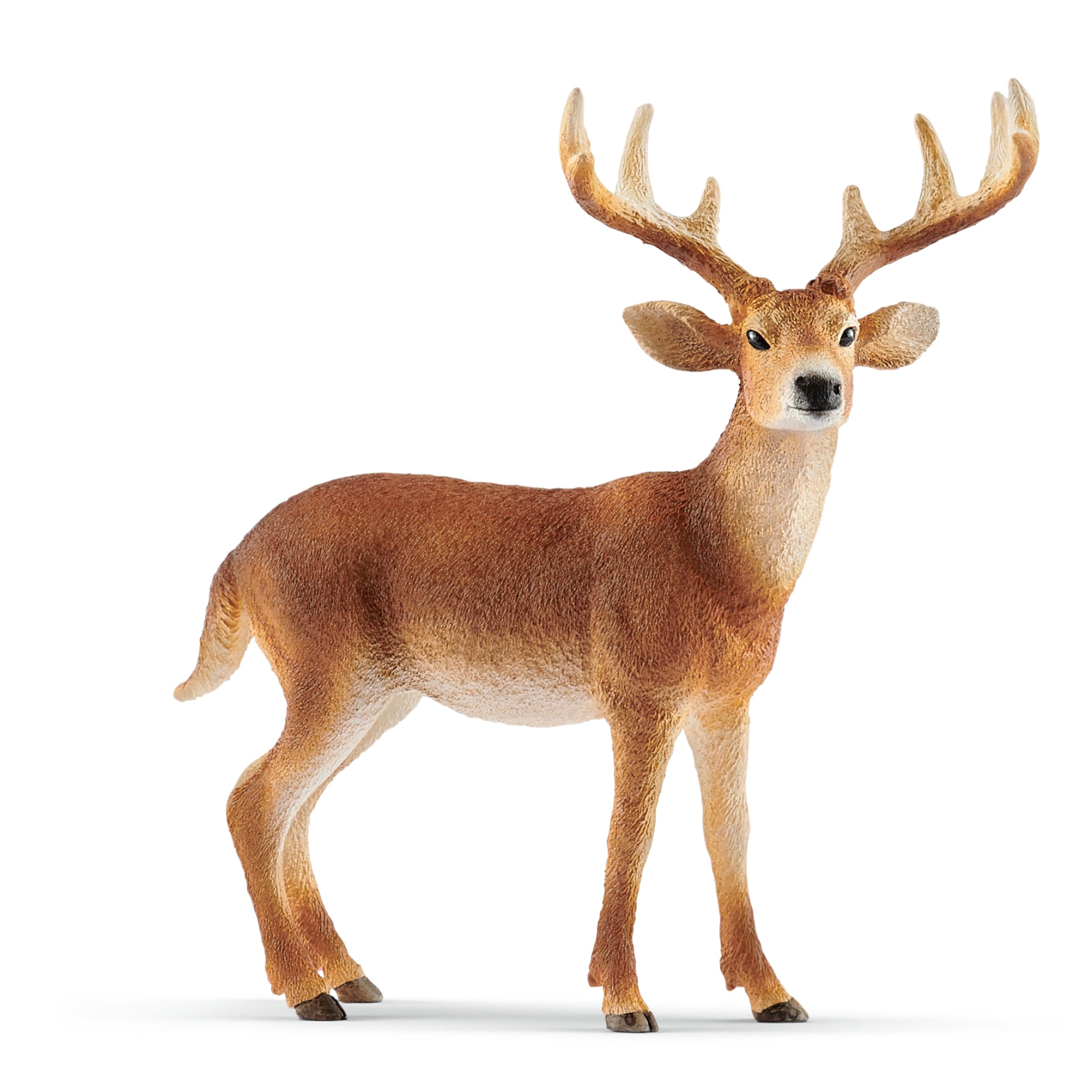 Schleich Wild Life White Tail Buck Deer Figurine