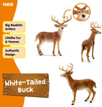 Schleich Wild Life White Tail Buck Deer Figurine