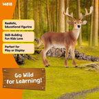 Schleich Wild Life White Tail Buck Deer Figurine