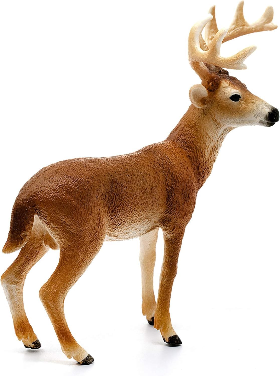 Schleich Wild Life White Tail Buck Deer Figurine