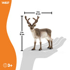 Schleich Reindeer 2024