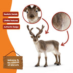Schleich Reindeer 2024