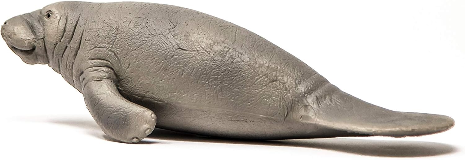 Schleich Wild Life Realistic Manatee Figurine