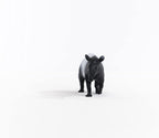 Schleich Wild Life, Realistic Wild Animal Toys