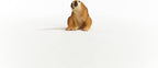 Schleich Wild Life - Plumplori Wild Life - Kids and Toddlers Ages 3+