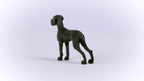 Schleich Farm World Great Dane Dog Figurine