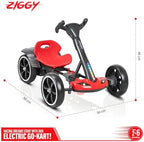 ZIGGY Mini E