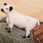 Schleich Galloway Cow Realistic Farm Animal Figurine