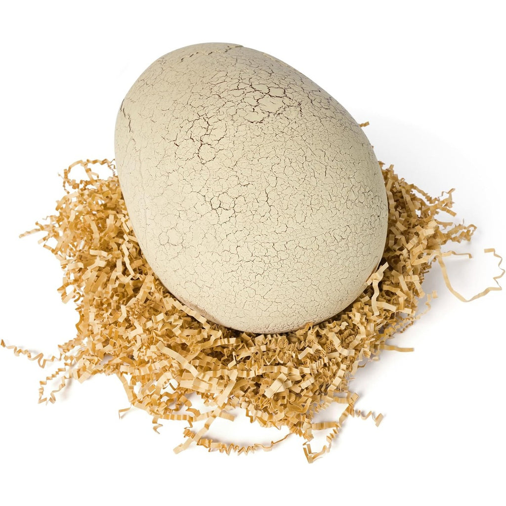 Jurassic World Interactive Toy Dinosaur & Egg