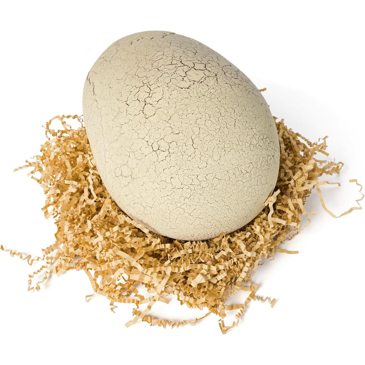 Jurassic World Interactive Toy Dinosaur & Egg