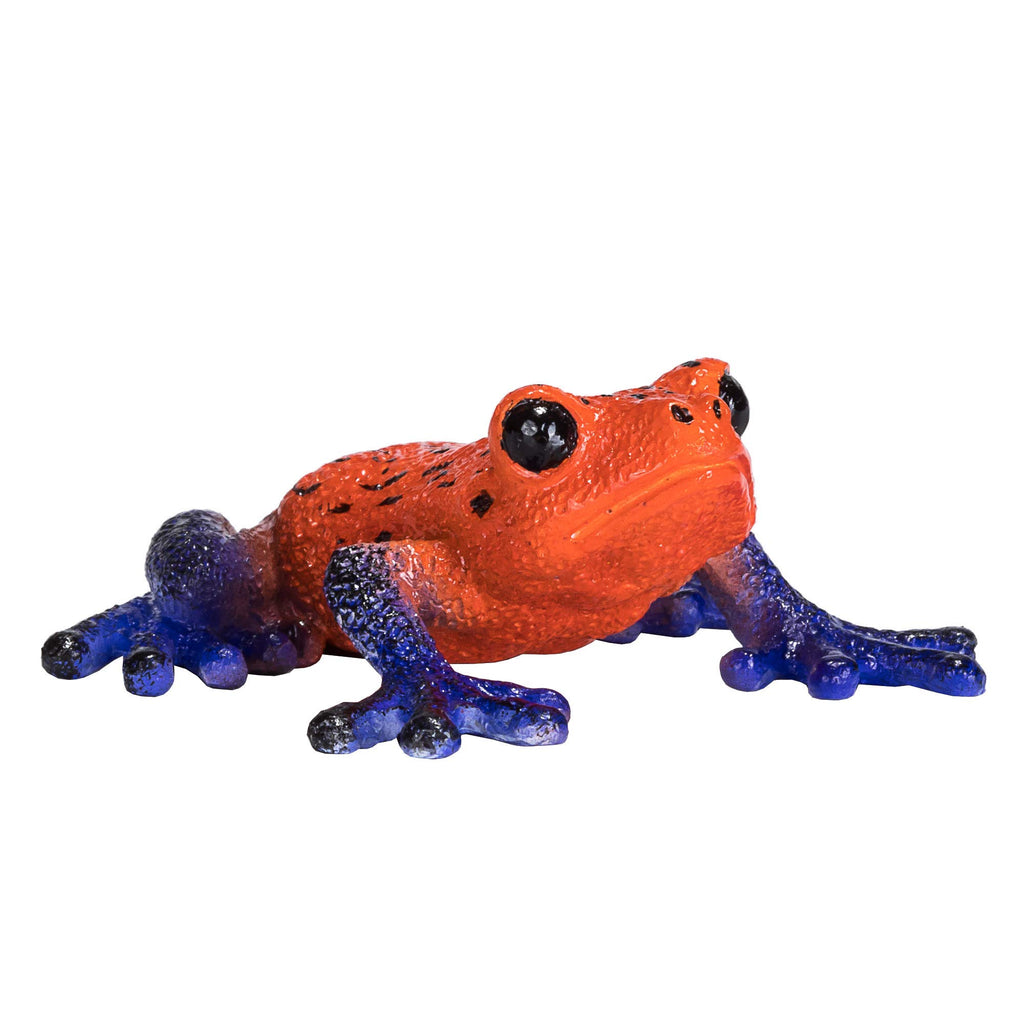 MOJO Poison Dart Tree Frog Realistic International Wildlife Hand