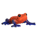 MOJO Poison Dart Tree Frog Realistic International Wildlife Hand