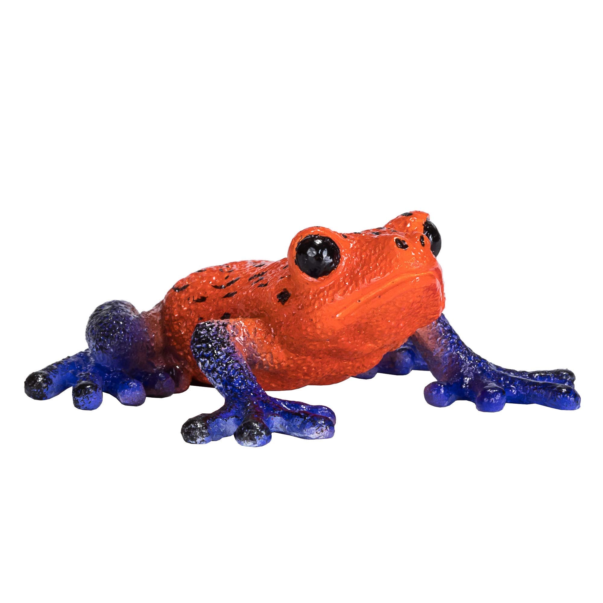 MOJO Poison Dart Tree Frog Realistic International Wildlife Hand
