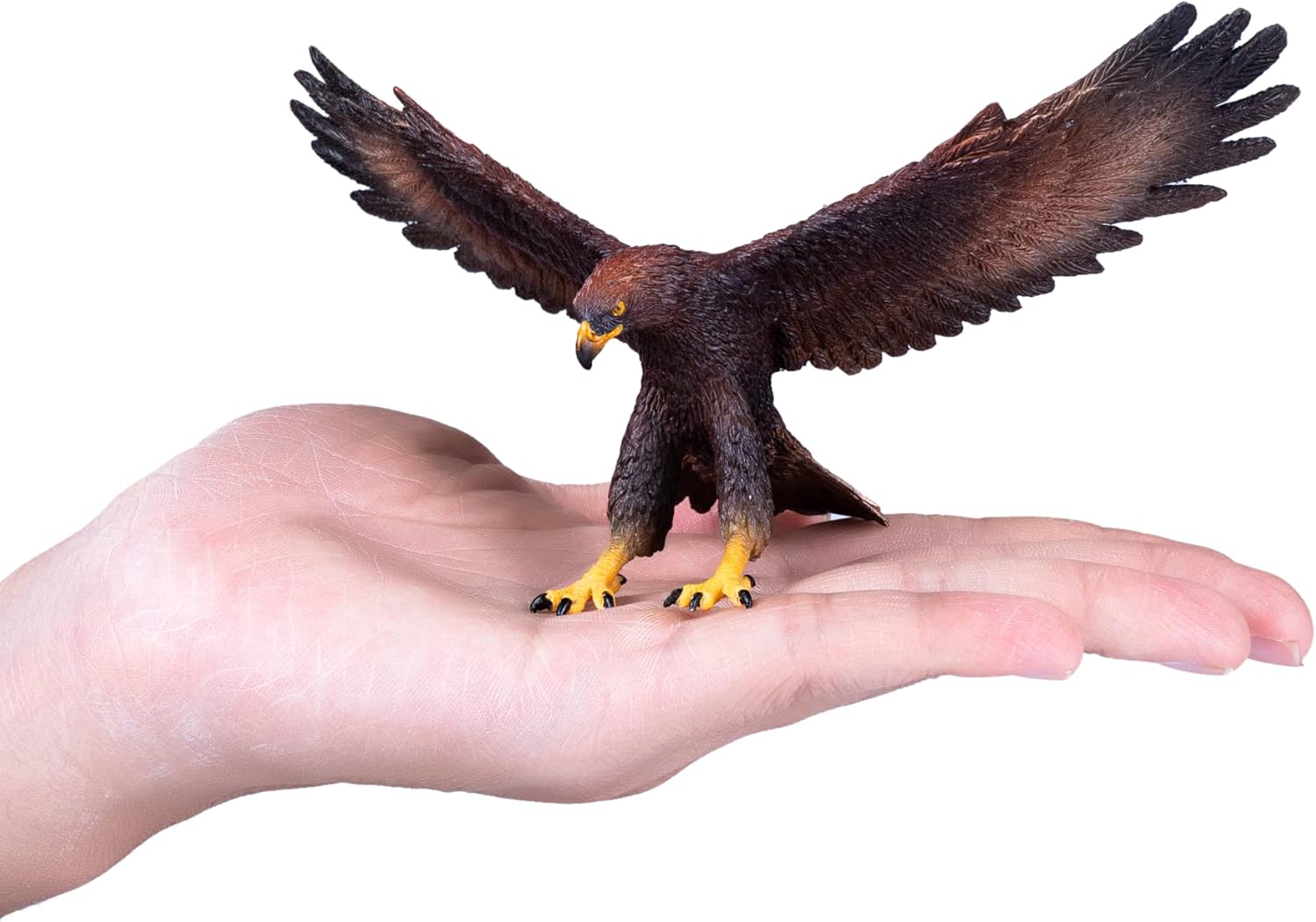 MOJO Golden Eagle