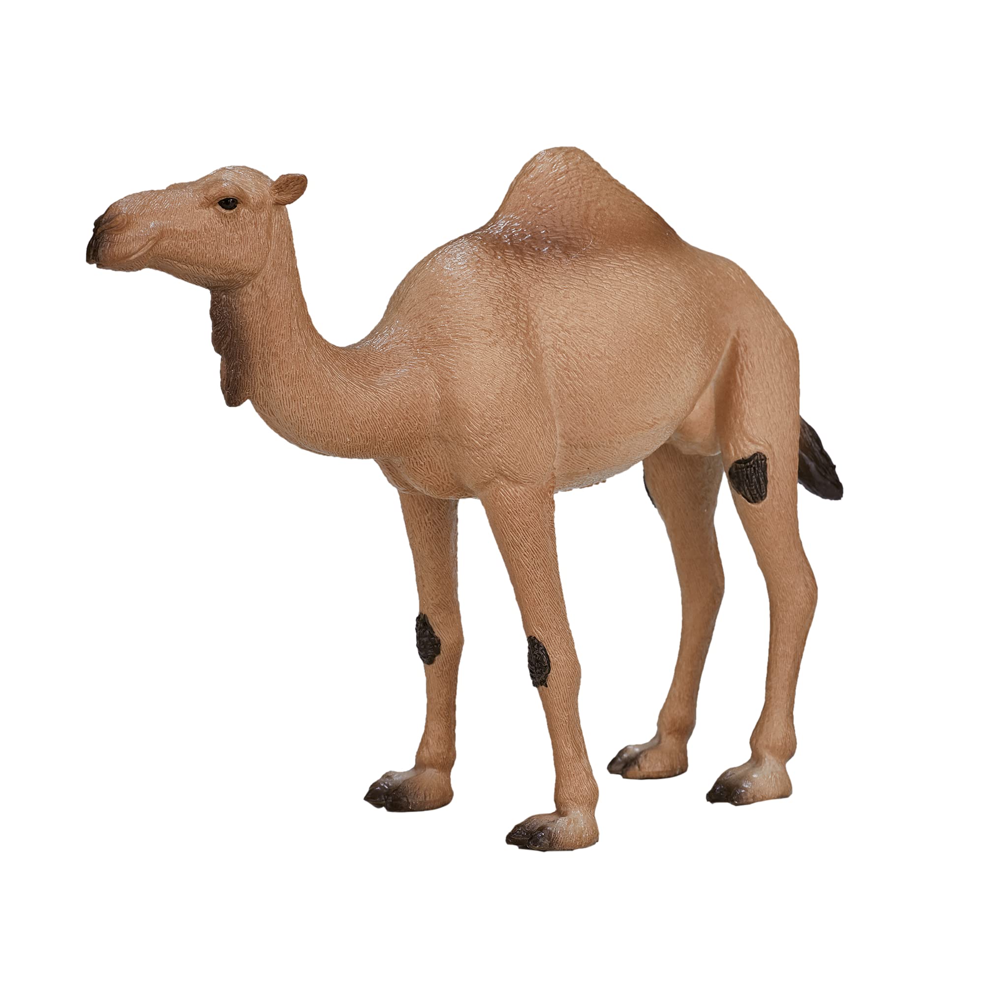 MOJO - Arabian Camel | Hand-Painted Toy Figure | Wildife Collection | True to Life & Highly Detailed | Designed in UK