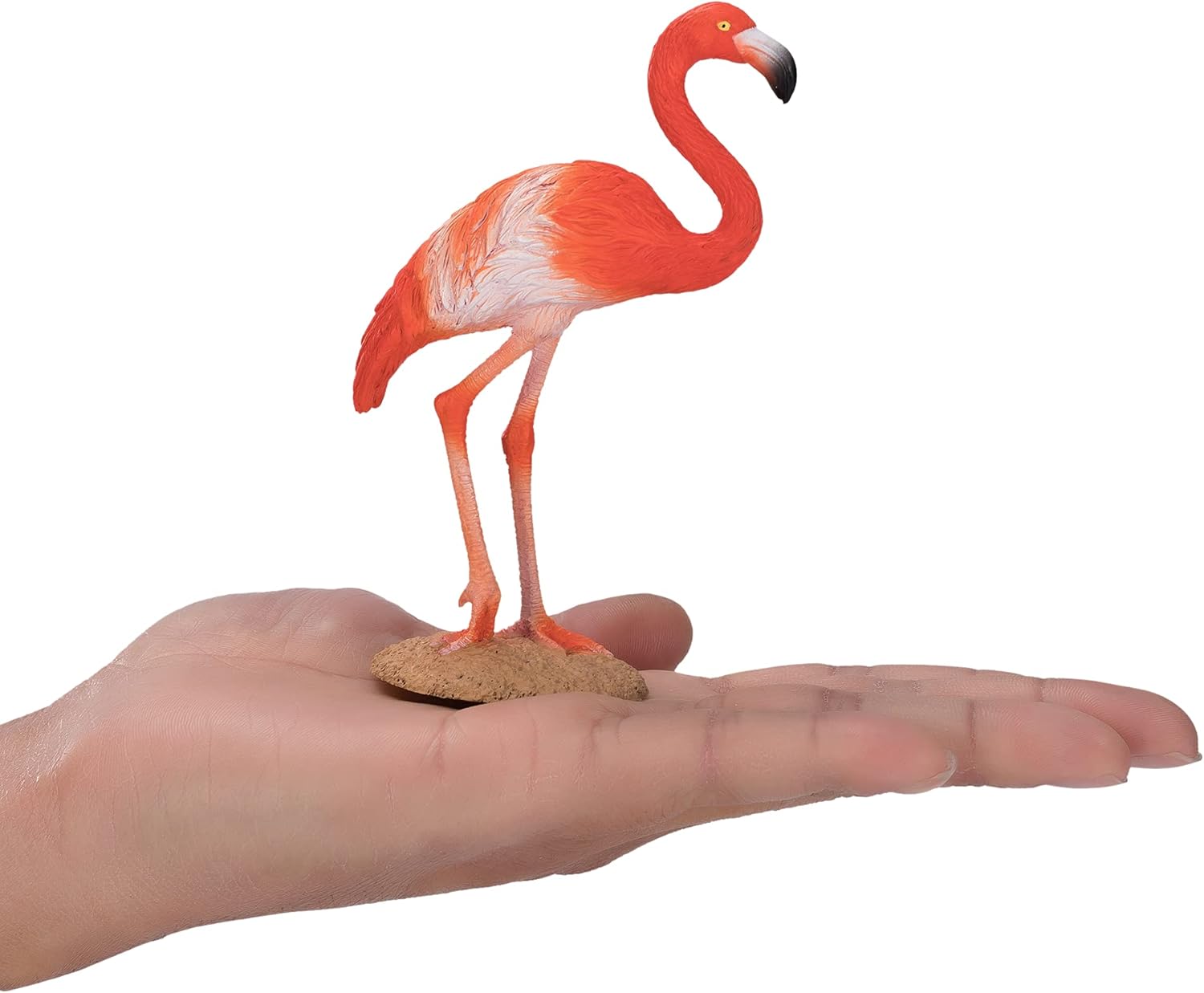 MOJO American Flamingo Realistic International Wildlife Hand Painted