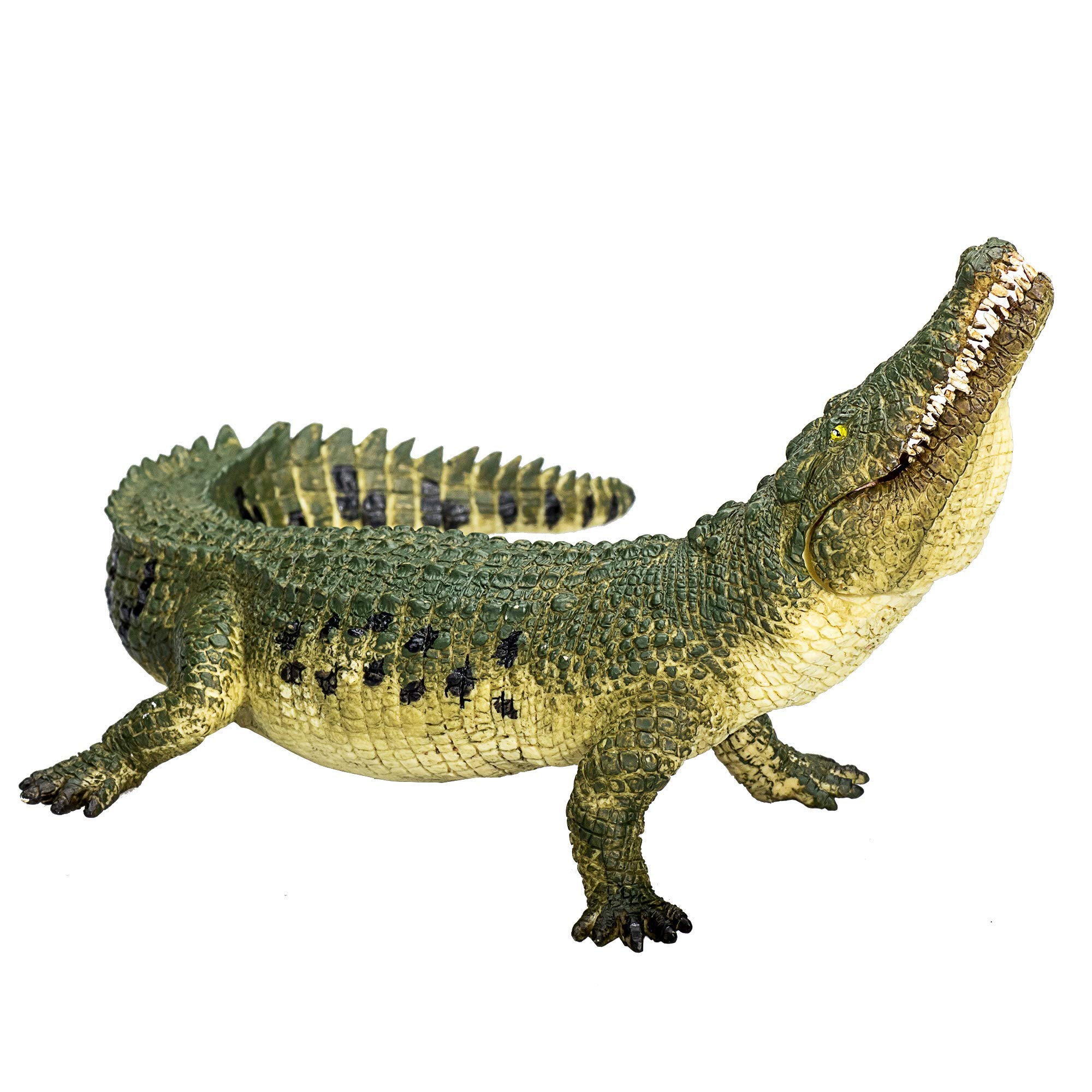 MOJO - Crocodile | Moving Jaw Feature | Hand-Painted Toy Figure | Prehistoric Life Collection | True to Life & Highly Detailed | Designed in UK.