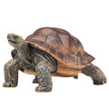 MOJO - Giant Tortoise | Hand-Painted Toy Figure | Wildlife Collection | True to Life & Highly Detailed | Designed in UK
