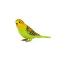 MOJO Green Budgerigar (Australian Parakeet) Realistic International