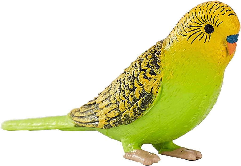 MOJO Green Budgerigar (Australian Parakeet) Realistic International
