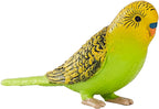MOJO Green Budgerigar (Australian Parakeet) Realistic International
