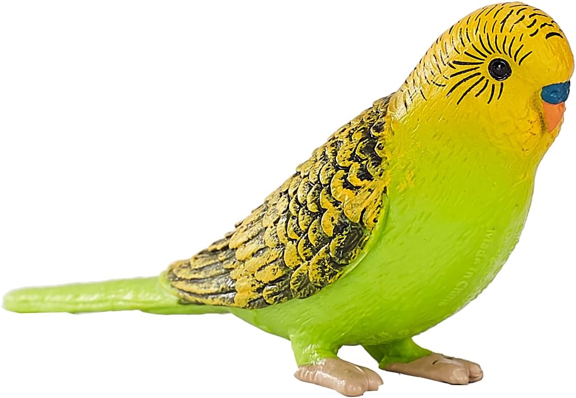 MOJO Green Budgerigar (Australian Parakeet) Realistic International