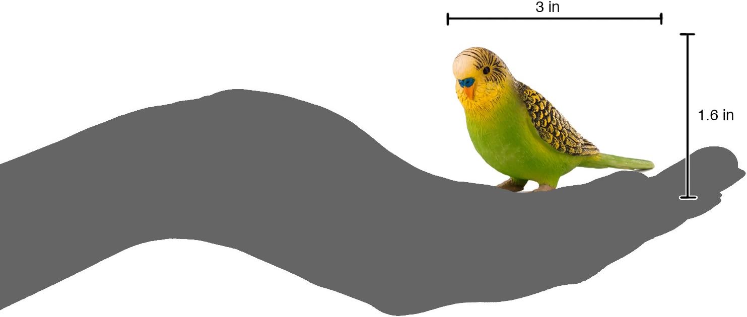 MOJO Green Budgerigar (Australian Parakeet) Realistic International