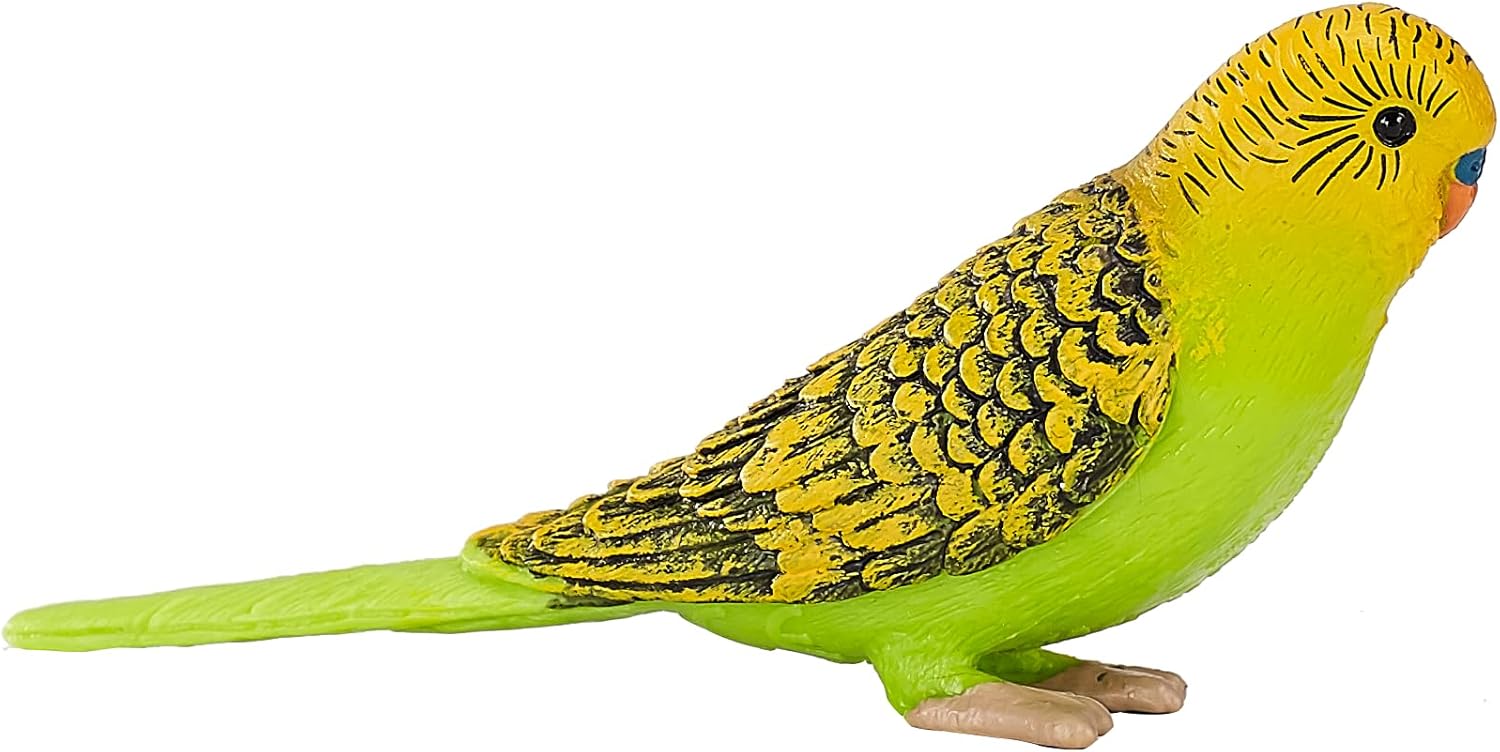 MOJO Green Budgerigar (Australian Parakeet) Realistic International