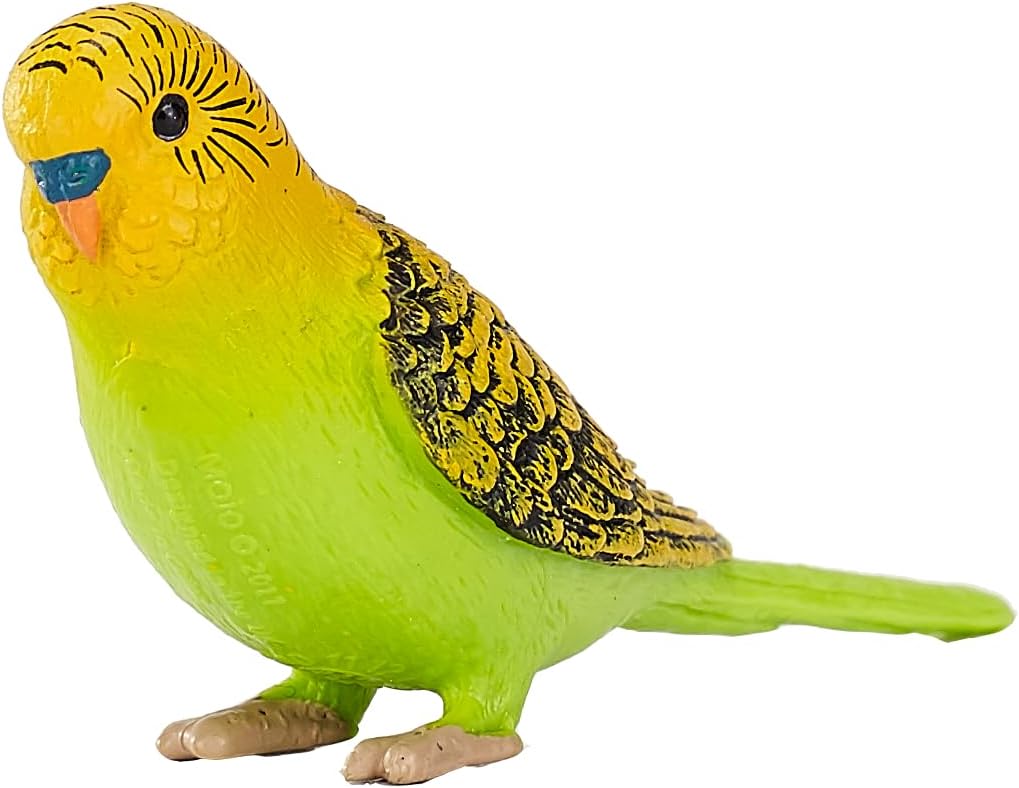 MOJO Green Budgerigar (Australian Parakeet) Realistic International
