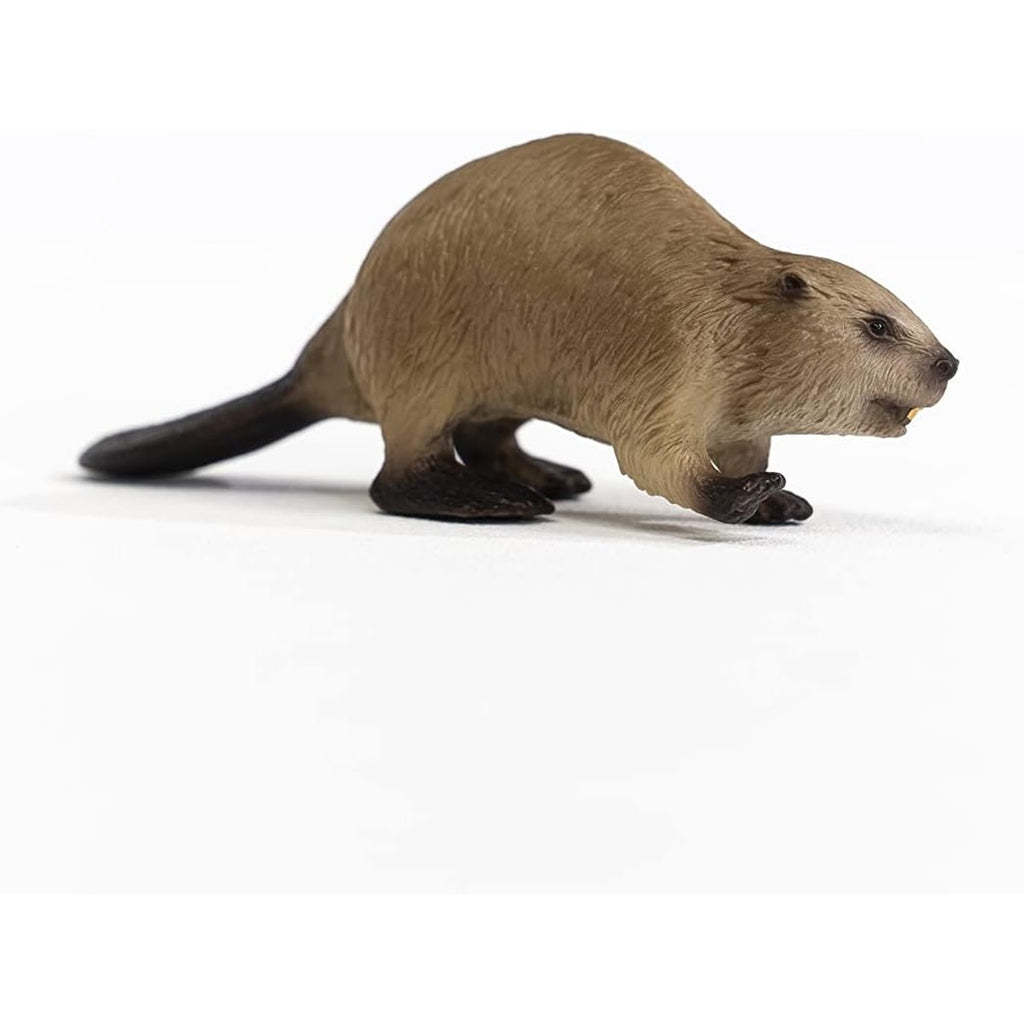 Schleich Wild Life, North American Woodland Wild Animal Toys