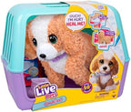Little Live Pets Ouchies Exclusive Hazel The Poodle Plush, 50+ Sounds, Limping to Walking