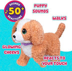 Little Live Pets Ouchies Exclusive Hazel The Poodle Plush, 50+ Sounds, Limping to Walking