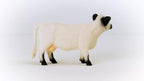 Schleich Galloway Cow Realistic Farm Animal Figurine