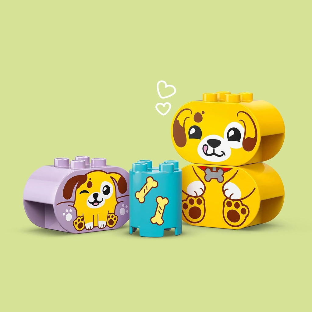 Lego Duplo 10441 My First Duplo Dog House and Shape Puzzle Toy Birthday