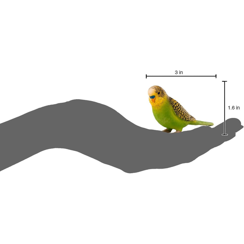 MOJO Green Budgerigar (Australian Parakeet) Realistic International