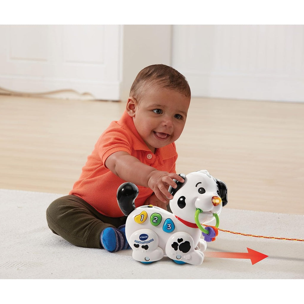 Vtech Pull Along Puppy Pal, Multi