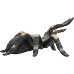 MOJO Red Kneed Tarantula Realistic International Wildlife Hand Painted Toy Figurine