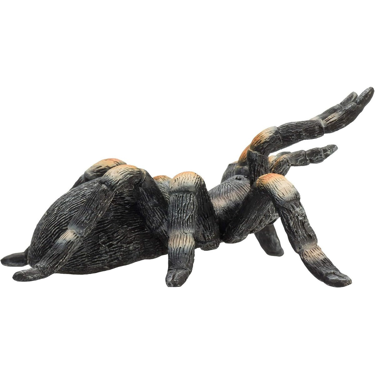 MOJO Red Kneed Tarantula Realistic International Wildlife Hand Painted Toy Figurine