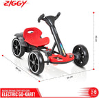 ZIGGY Mini E
