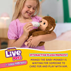 Little Live Pets My Baby Monkey Mango, 50+ Sounds and Reactions